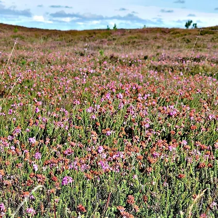 5 Star In Henne Сasa de vacaciones *