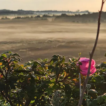 5 Star In Henne Henne Strand