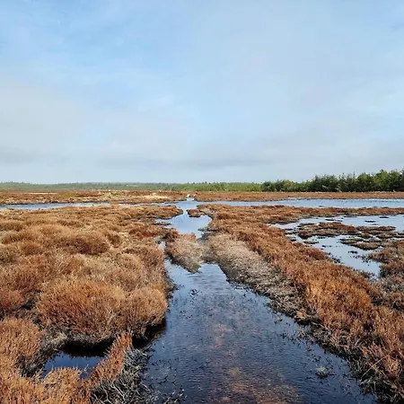 5 Star In Henne Сasa de vacaciones *